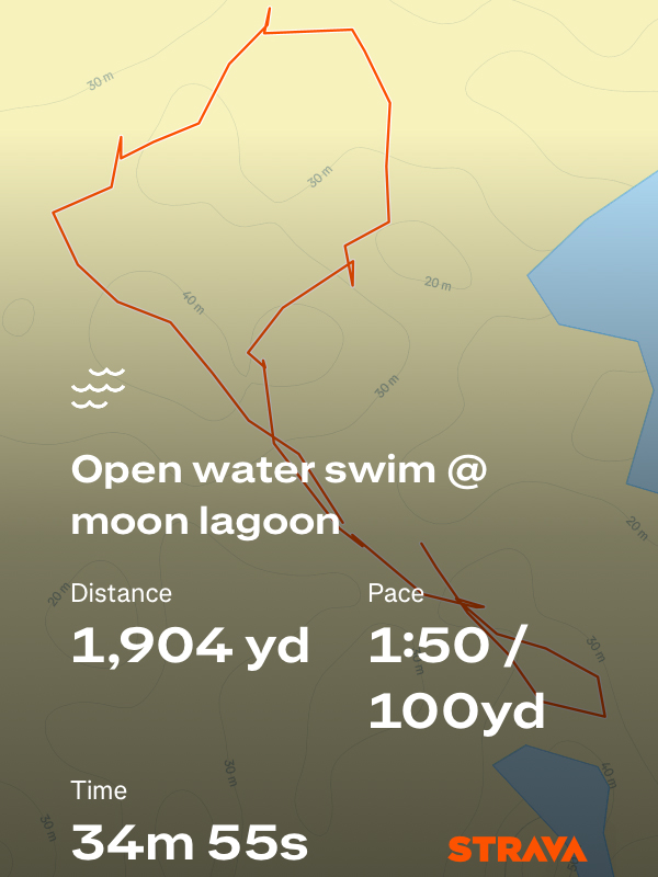 Strava map of an open-water swim activity in a lagoon