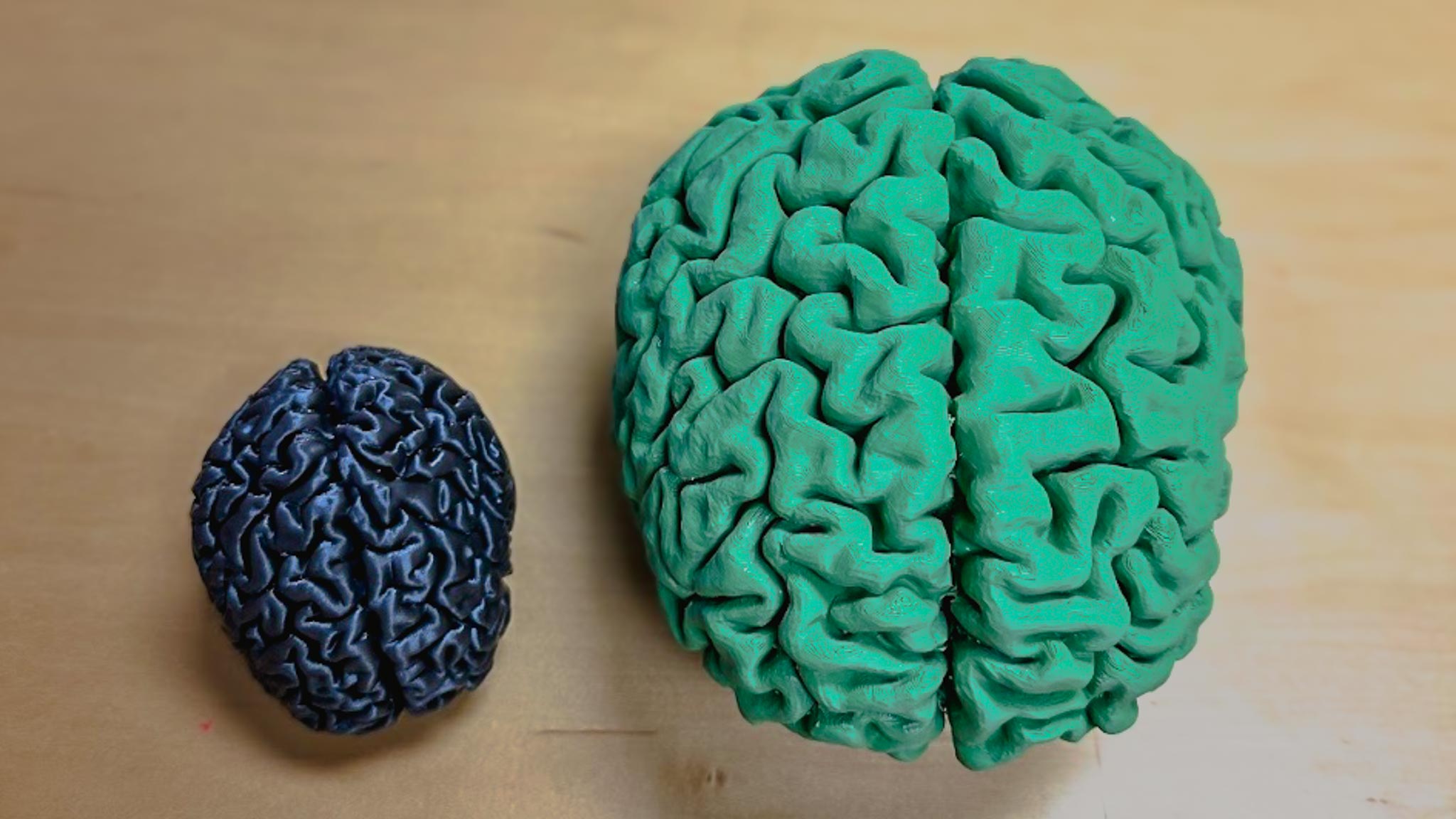 PLA brains I've printed previously