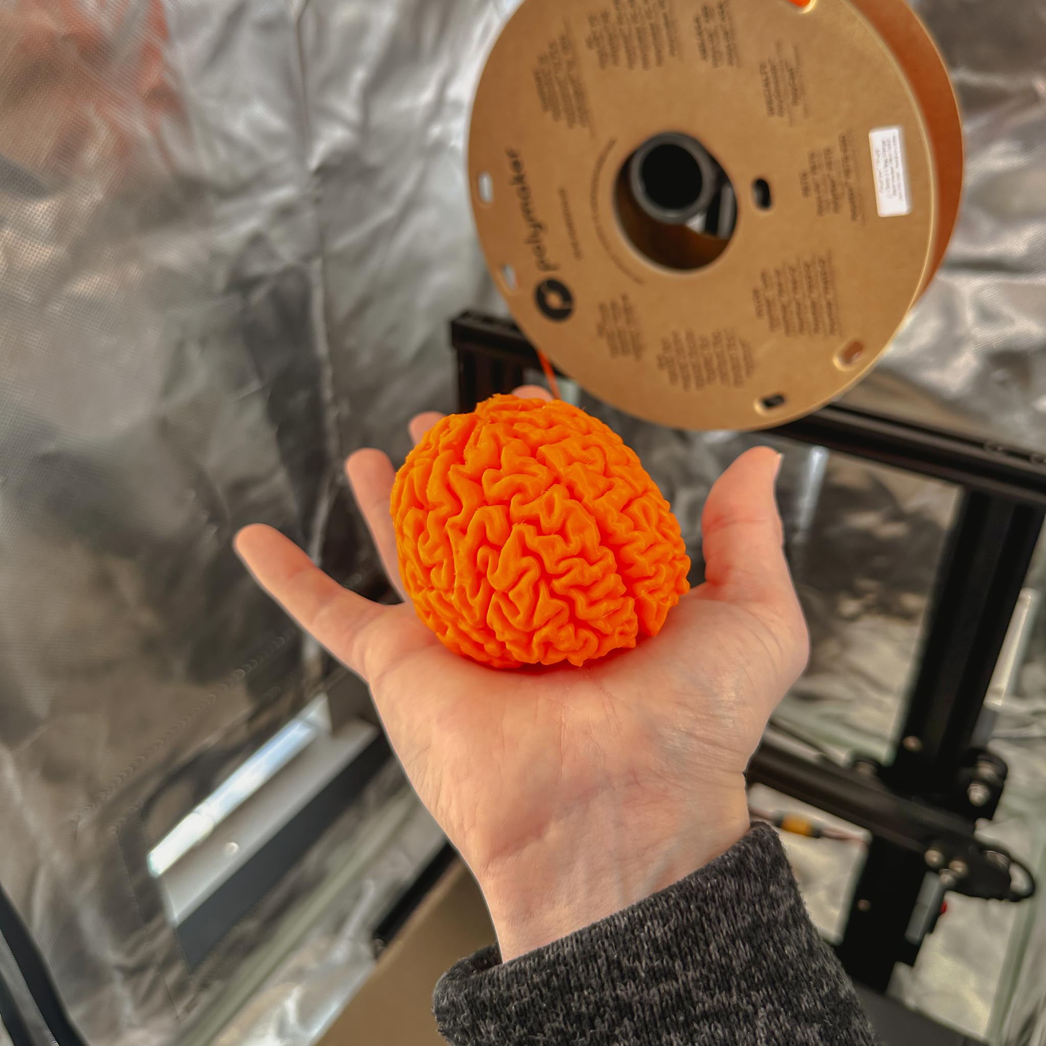 Holding the finished TPU brain