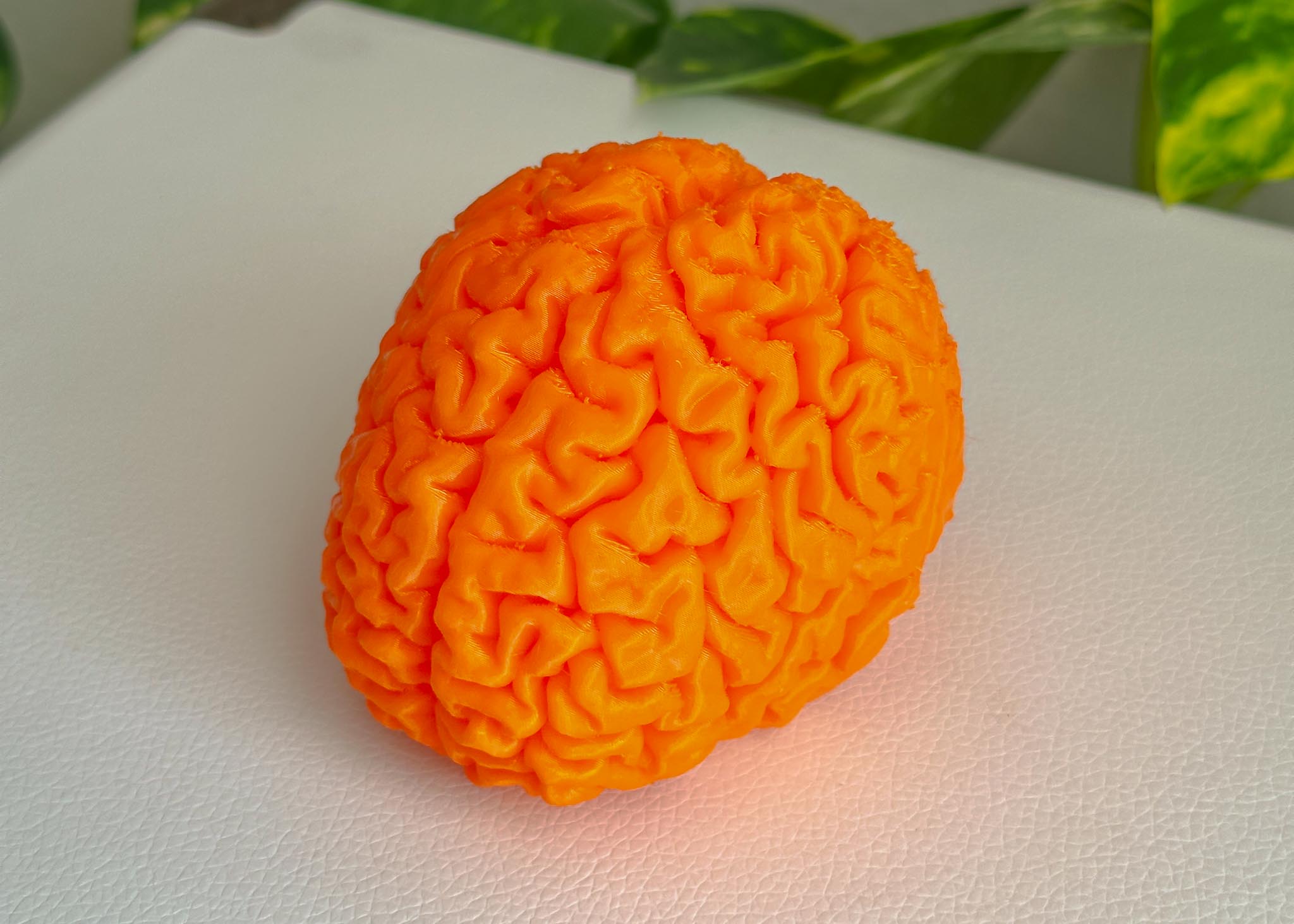 My brain 3D-printed with orange TPU